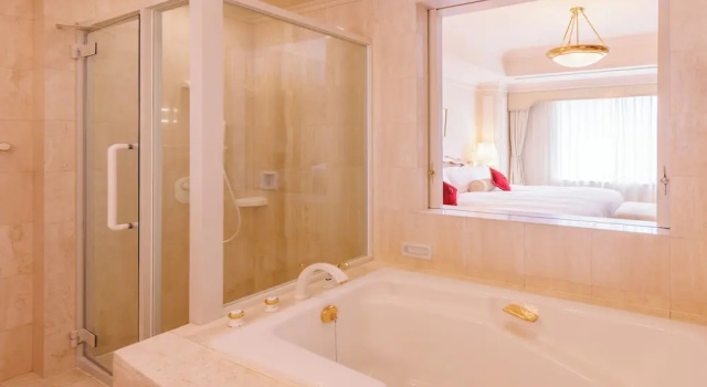 Двухместный полулюкс Dai-ichi Hotel Tokyo