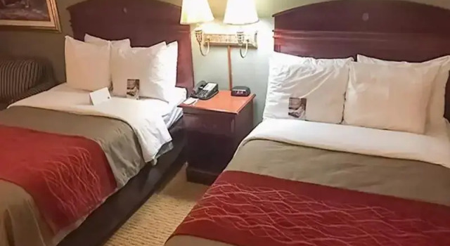 Шестиместный номер Standard Comfort Inn Springfield