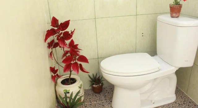 Номер Standard Herry Homestay Kuta Lombok
