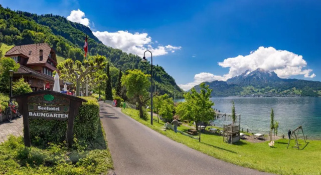 Апартаменты Seehotel Baumgarten