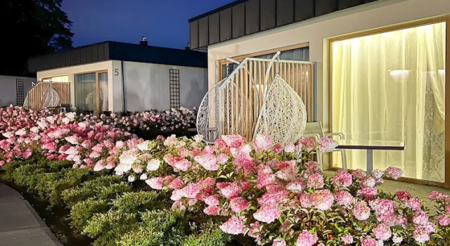 Номер Standard Sierra Bungaloves