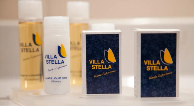 Номер Standard Villa Stella