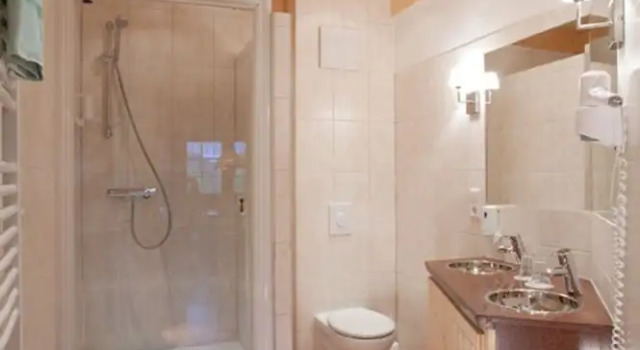 Апартаменты c 1 комнатой Hotel & Restaurant Grüner Baum - Die Grüne Oase Am Feldberg