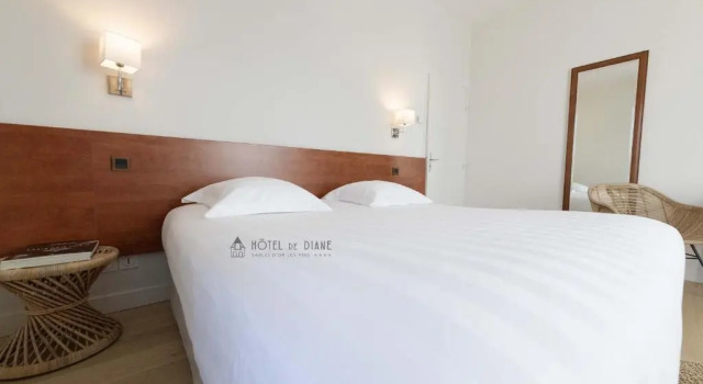 Двухместный номер Premium Hotel De Diane