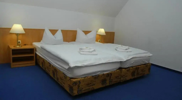 Двухместный номер Standard Pension Lindenhof