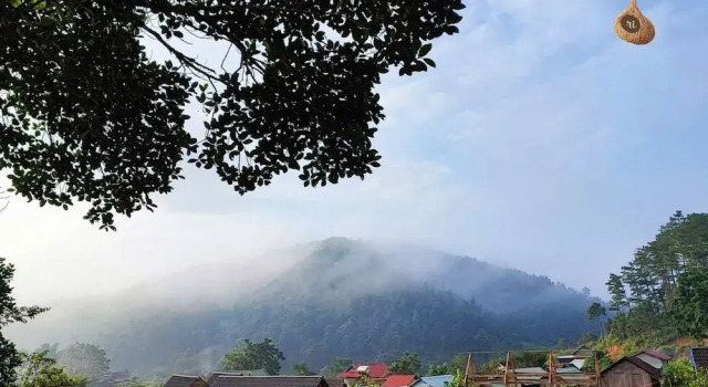 Семейный коттедж c 1 комнатой с балконом и с видом на горы Tổ Chim Ri Homestay Măng Đen