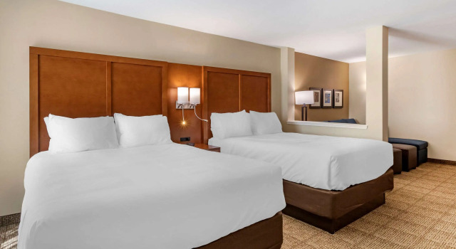 Четырёхместный люкс Comfort Inn & Suites Waller