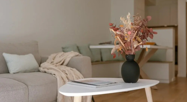 Beachside Apartment for Four at Knokke-heist, Prenota Appartamento Tortuga 