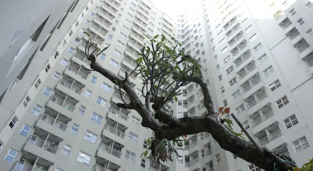 Best Deal 1Br Apartment At Parahyangan Residence Bandung, Rezervasyon Daire Bandung Kidul Bandung