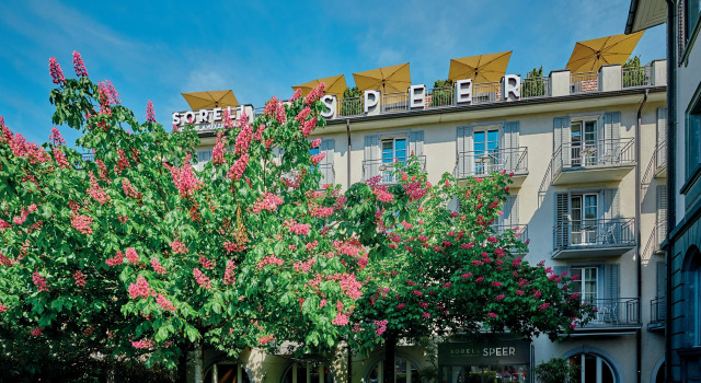 Sorell Boutique-Hotel Speer Rapperswil, Забронировать Отель СПА-отели кантона Швица, SPA-услуги