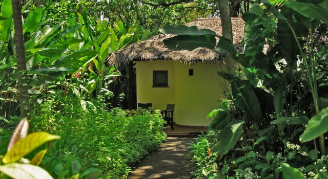 Номер Standard Moivaro Coffee Plantation Lodge