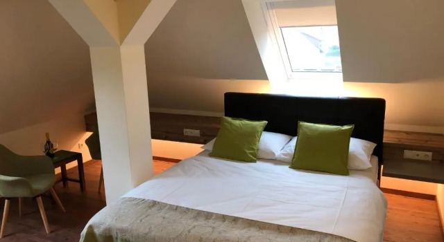 Двухместный номер Standard Hotel Braun