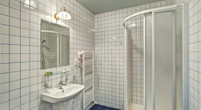 Двухместный номер Standard Hotel Buchlov