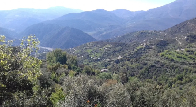 Апартаменты Dreams Alpujarra