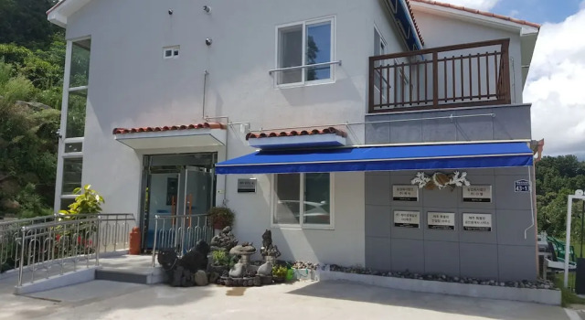 Dreaming Forest Pension Seogwipo, Rezerwuj Hotel Hotele w Czedżu z basenem, Basen