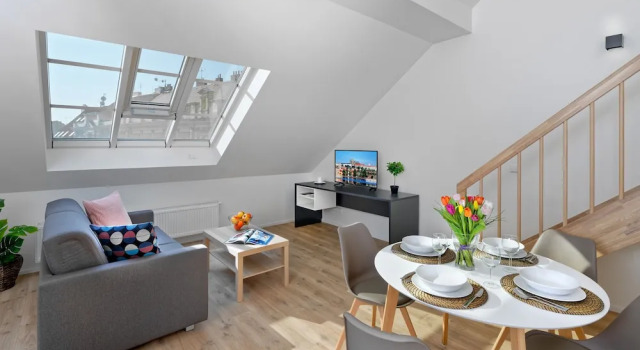 Семейный номер Standard Пентхаус c 1 комнатой с видом на город DownTown Suites Jugoslavska