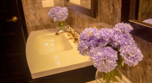 Люкс Executive с балконом Appiah's Royal Suites