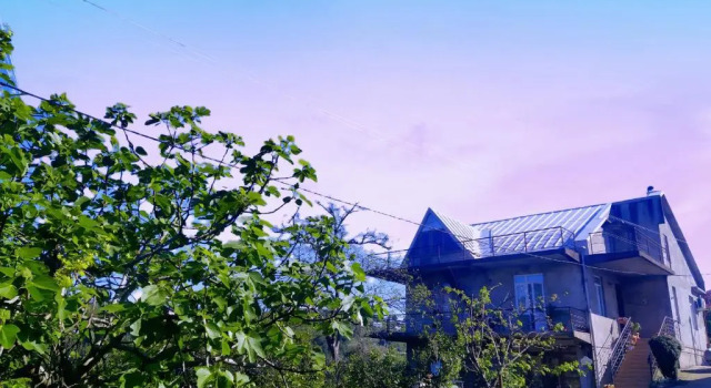 Коттедж 53 jincharadze street Makhinjauri, Batumi