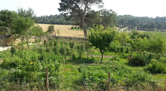 Domaine de Sulauze