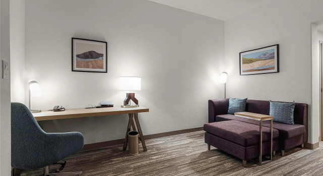 Двухместный полулюкс Hilton Garden Inn New Braunfels