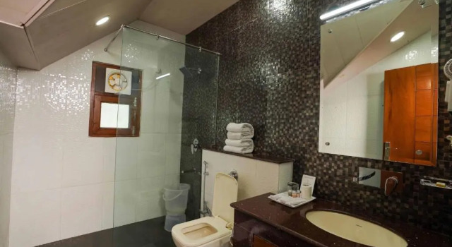 Двухместный номер Deluxe Hotel The Twin Towers