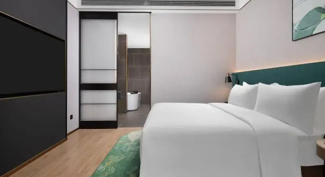 Двухместный люкс c 1 комнатой Hilton Garden Inn Leshan Shizhong