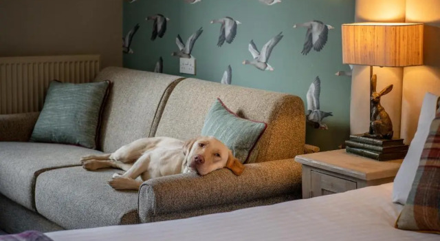 Номер Superior The Golden Lion at Settle