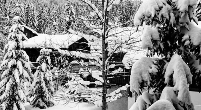 Chalet La Tania, 4 pièces, 13 personnes - FR-1-513-45