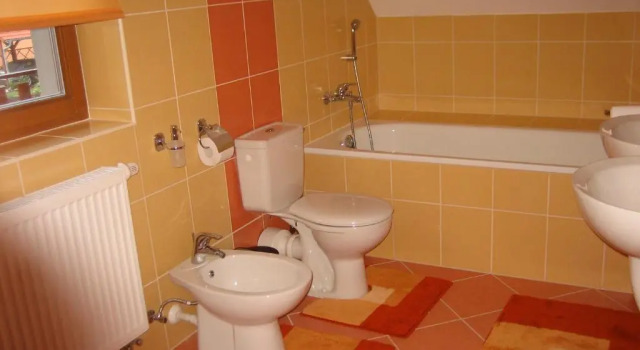 Номер Standard Hotel Bazant