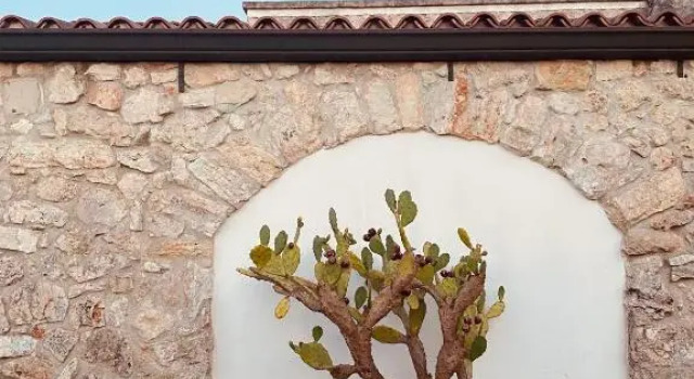 VIGNA VECCHIA, Book Hotel Hotels in Patù with Parking, Parking
