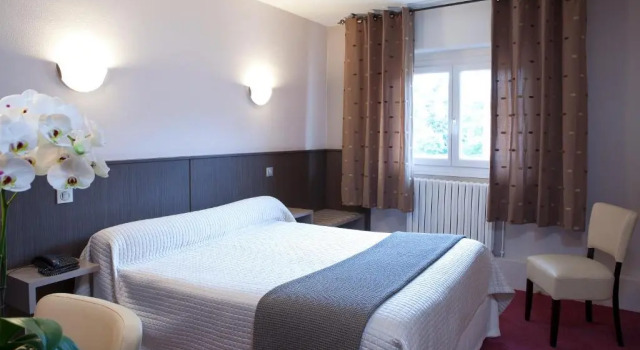 Двухместный номер Standard Hôtel CARRER Le Rhien