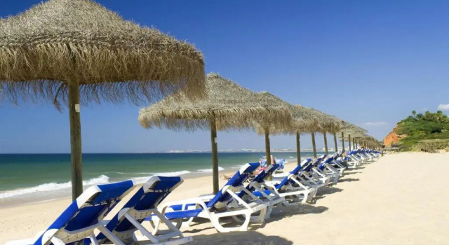 Апартаменты Sunny Lounge Apartment