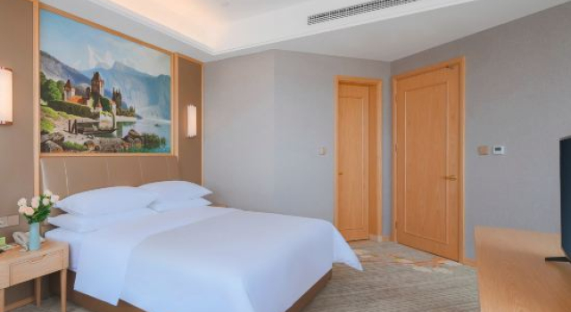 Люкс Deluxe Vienna Hotel (Anhui Huangshan Shexian Ancient City, Hetai International City)