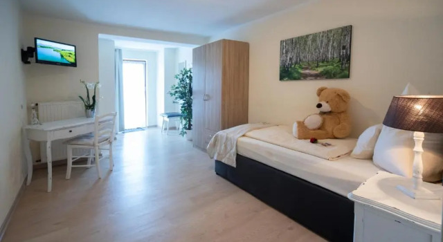 Одноместный номер Standard Hotel Garni Zum Grünen Baum