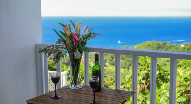 Estudio De lujo 1 dormitorio con vista al mar Morne SeaView Apartments