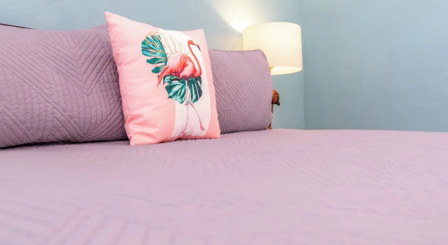 Студия Flamingo Inn
