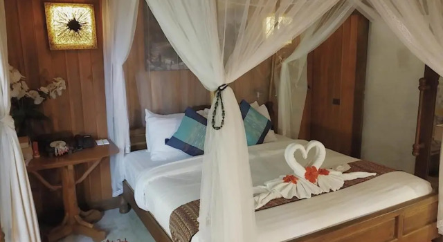Двухместный номер Superior Viking Nature Resort