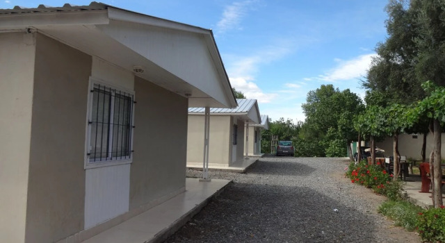 Patio de Olivos
