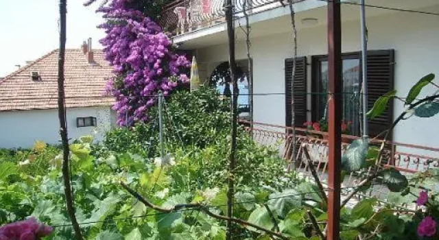 Апартаменты Apartment Knez