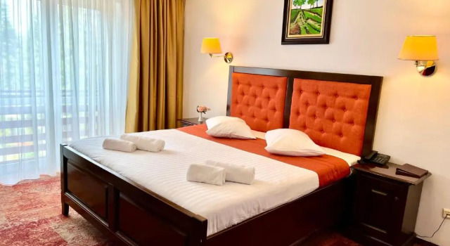 Двухместный номер Standard Hotel Piatra Mare