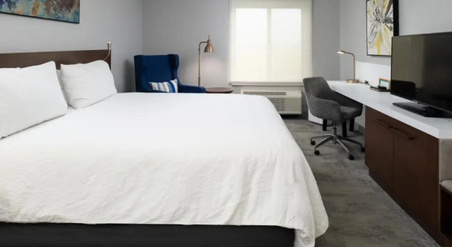 Номер Standard Hilton Garden Inn Baton Rouge Airport
