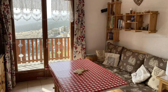 Appartement Les Angles, 2 pièces, 4 personnes - FR-1-295-156