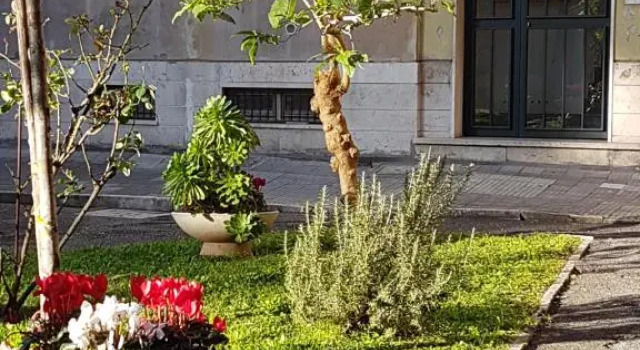 Le Tre Sorelle B&b Garbatella, Забронировать Отель Отели Рима с завтраком, рядом с Гастрономический центр Eataly Roma, Завтраки