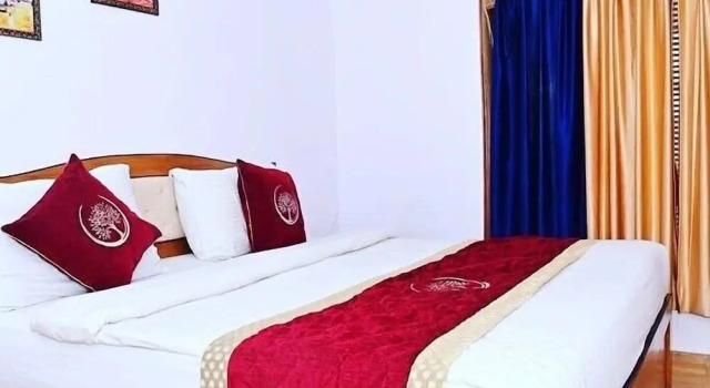 Двухместный номер Deluxe Ambience Hill Nainital
