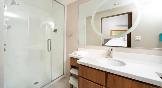 Студия SpringHill Suites by Marriott Philadelphia Valley Forge/King of Prussia