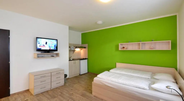 Двухместный номер Standard Hotel Palác