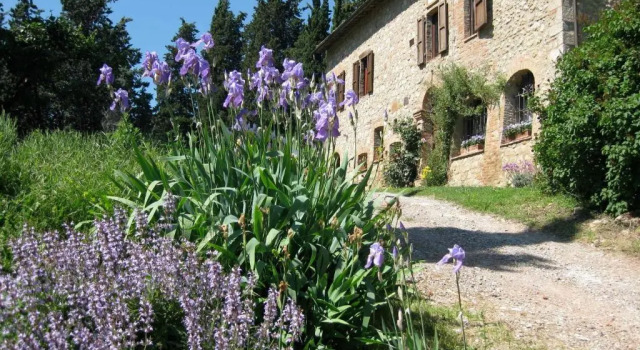Коттедж Agriturismo Il Caio