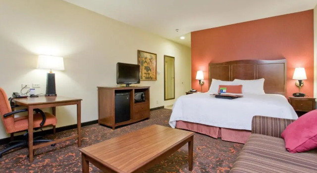 Номер Deluxe Hampton Inn & Suites New Braunfels