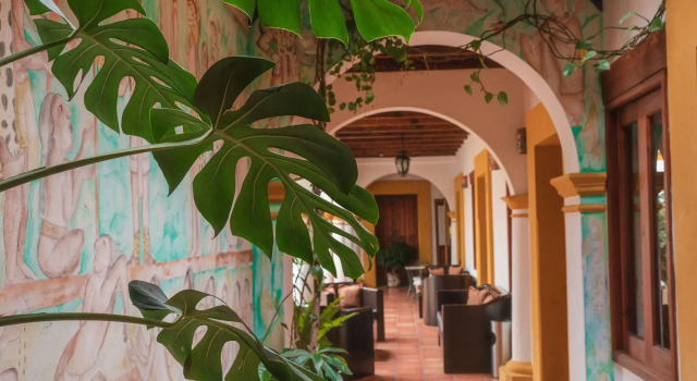Hotel Casa Margarita, Book Hotel Cheap Hotels in Chiapas
