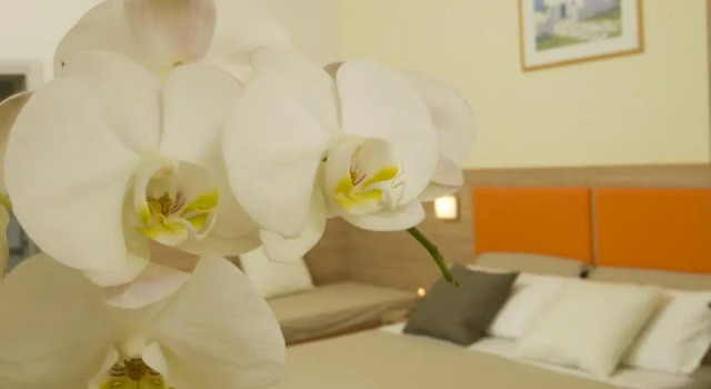 Номер Standard Hotel Consuelo